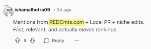Reddit comment mentioning REDCmts.com for SEO and PR services